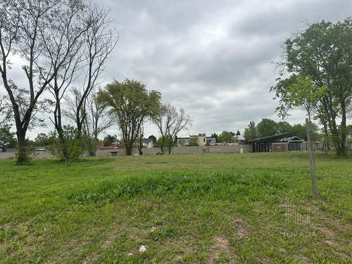 Venta Lote Financiación Avenida Olivos Y Panamericana Excelente Ubicación !!!