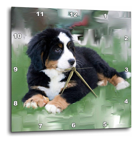 3drose Dpp_4038_2 Reloj De Pared Con Perro De Montaña Bernés