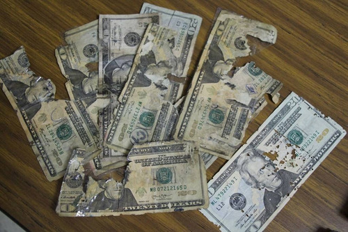 Imagen 3 de 5 de Dolares Manchados , Rotos , Quemados , Cabeza Chica