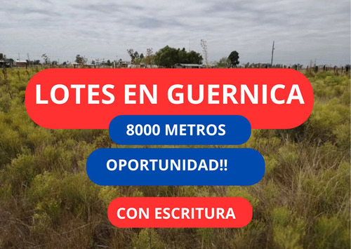 Lotes En Venta En Guernica Zona De Quintas 8000 M2