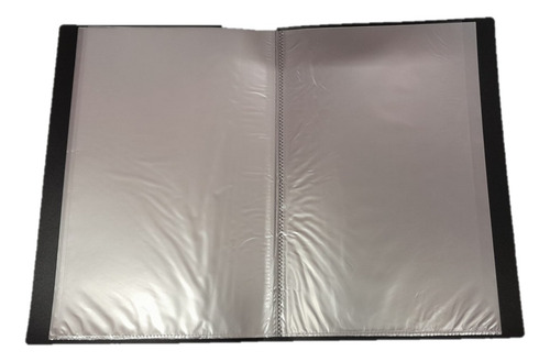 Carpeta A4 Con 10 Folios Separadores Organizador Foliada Color Verde Claro