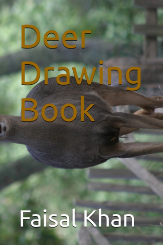 Libro: Deer Drawing Book