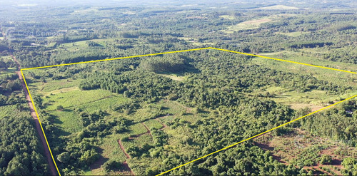 Se Vende Chacra En San Ignacio Misiones. Yerba, Forestación Y Arroyo