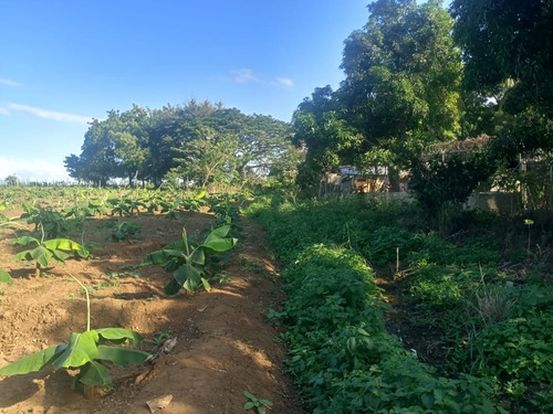 Finca En Venta
