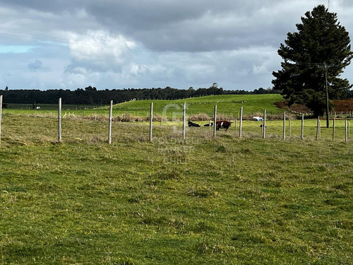 Parcela Puerto Octay Circuito Lago Llanquihue