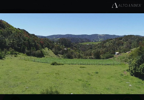 Sitio En Venta En Ancud