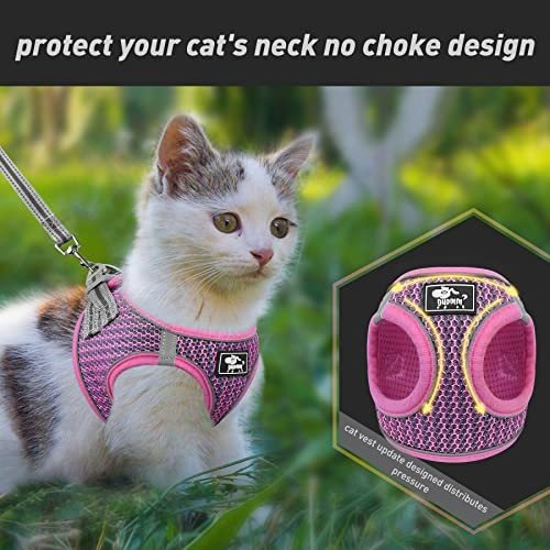Arnês para gatos com coleira, sem escape, à prova de vazamentos