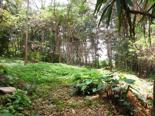 Terreno Em Brooklin Velho - 353-im195595