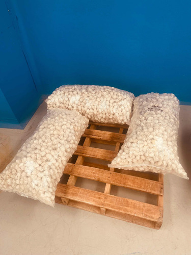Premio Para Perro De Carnaza 10 Kilos Hueso 4-7 Cm