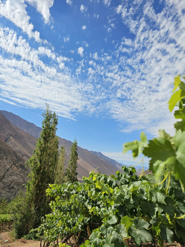 Venta Terreno Valle De Elqui