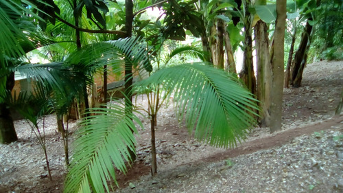 Casa Com 6 Quartos (1 Suíte Máster Com Hidro) 3 Andares
