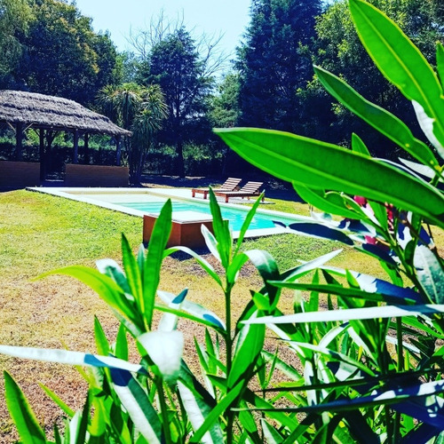 Quinta En Alquiler En 20 De Junio