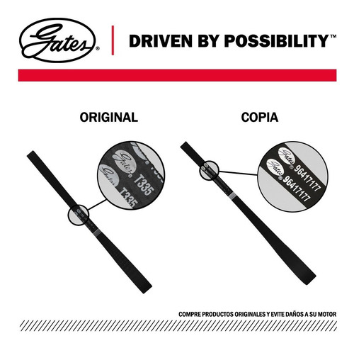 Correa Tiempo Chevrolet Optra Desing 1,8 Todos Gates