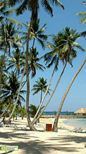 Relax En Las Paradisiacas Playas Del Caribe!!
