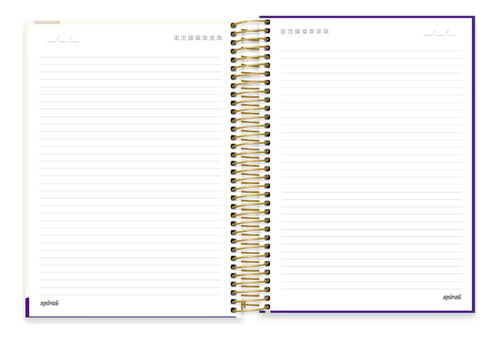 Caderno 10 Matérias A Dama E O Vagabundo 160 Fls C Dura Uni Cor Lilás