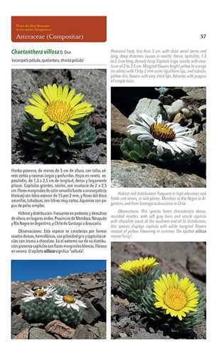 Flores Alta Montaña Plantas Patagonia Y Andes Centrales Arg