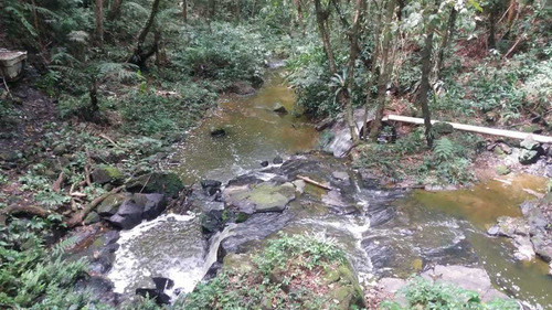 Imagem 1 de 1 de Terreno De 35.000m² Com Riacho
