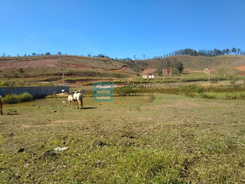 Imagem 7 de 15 de Edinaldo Santos - Bairro Igrejinha, Granja De 1.750 M2 Com Grande Lago - 1039