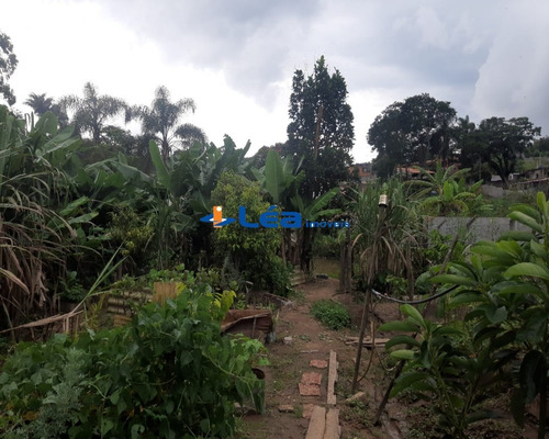 Chacara - Ch00045 - 69035310