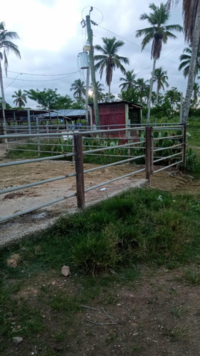 Vendo Finca De 1300 Tareas En Aras Nacionales En Villa Mella