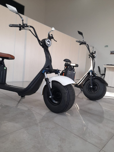 Imagem 5 de 15 de Motocicleta Elétrica Shineray - Pt5 ( 2000 Watts)