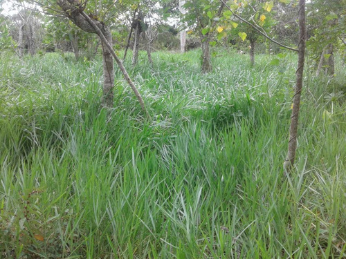 Te Vendo Excelente Finca En Monte Plata