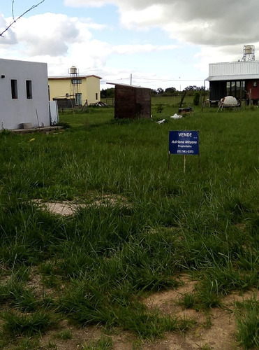 Imagen 2 de 10 de En Arana, Bº Las Luciérnagas Terreno En Venta 140 Entre 646 Y 648