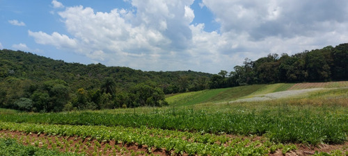 Imagem 9 de 13 de Terreno Perfeito Para Sua Chacara Em Cotia