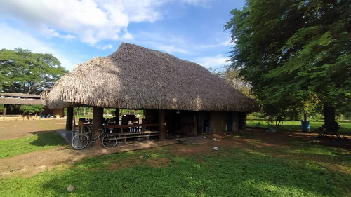 Imagen 8 de 12 de Finca Agropecuaria En Guanare, Portuguesa En Venta