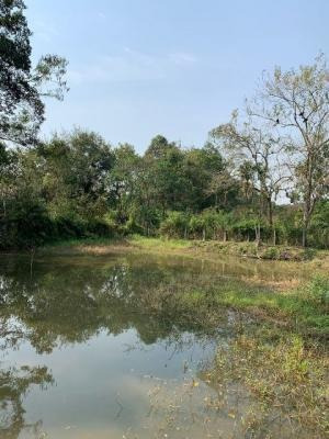 Imagem 4 de 14 de Chácara Com Piscina Em Miracatu