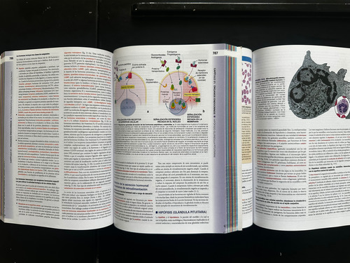 Texto Y Atlas Ross 8a Ed Histología Wojciech Pawlina-2 Tomos