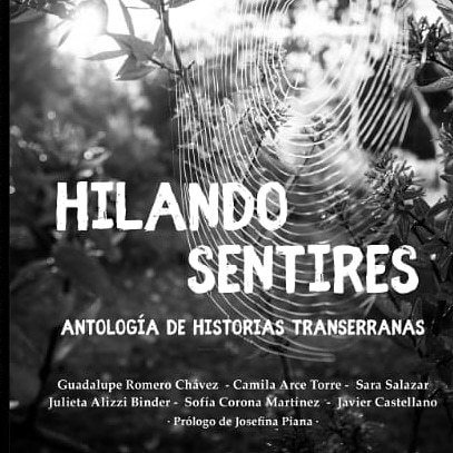 Hilando Sentires - Romero Chávez, Autores