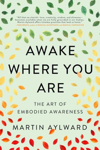 Awake Where You Are: The Art Of Embodied Awareness - Softcov