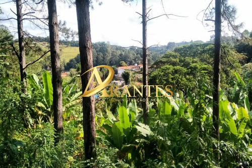 Imagem 14 de 30 de Chacara - Ch00063 - 34787311