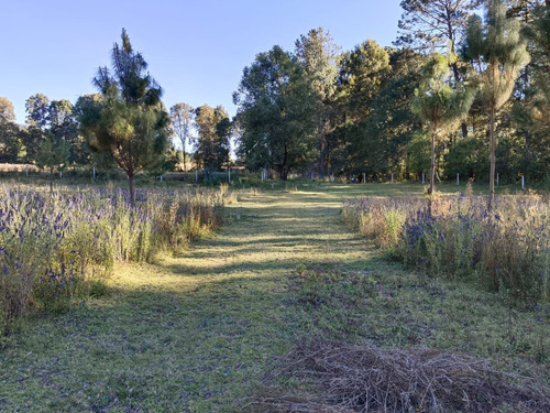 En El Temporal, Ideal Para Tu Rancho.