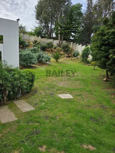 Venta Departamento Viña Del Mar