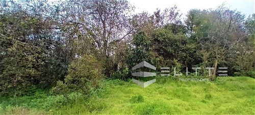 Imagen 21 de 28 de Sitio En Venta En Olmué