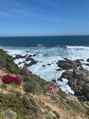 Imagen 8 de 14 de Quincheumo, Mejor Proyecto De La Zona Topocalma Pichilemu
