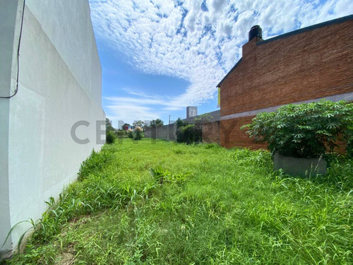 Venta - Terreno De 220m² - Av. Córdoba, Fisherton