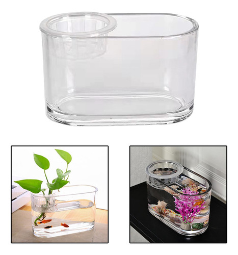 Aquaponic Tank Plants De Titular De Plantas Claro 20x10x12cm