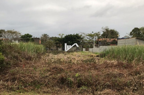Imagem 3 de 3 de Lote Para Construtor Lado Praia Já Acompanha Projetos