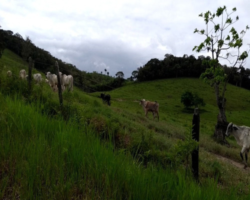 Fazenda - 0260 - 32820388