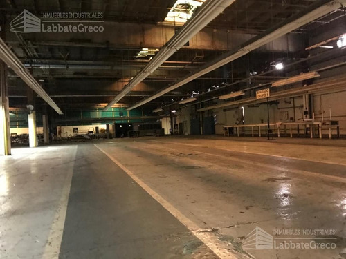 Imagen 6 de 23 de Galpón - Florencio Varela