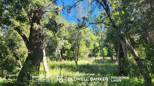 Venta Lote/terreno 1 Hectárea Uf 55 - Muelle De Piedra Villa La Angostura