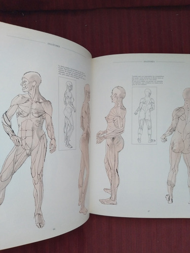 Libro Anatomía, Perspectiva Y Composición Para El Artista (Usado)