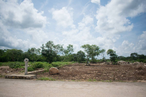 Terreno En Venta, En Chicxulub, Yucatán