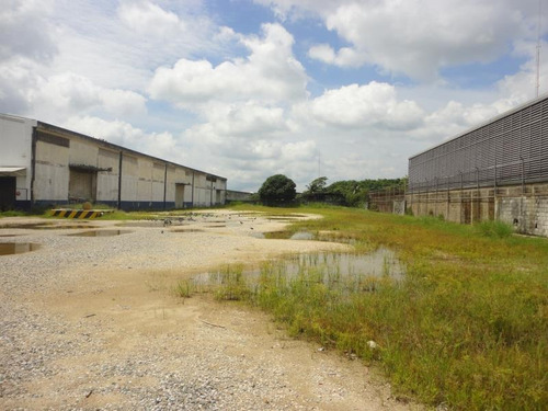 Imagen 7 de 10 de Bodega Comercial En Renta Ciudad Industrial