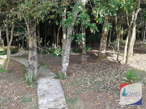 Imagem 8 de 9 de Sitio A Venda São Roque Sp - Ch0013