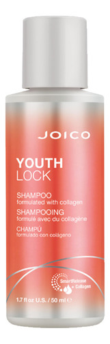 Kit Joico Youthlock Collagen Collection Duo Travel Size