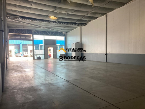 Arriendo Bodega De 390 M2 Carretera San Martin, Quilicura.